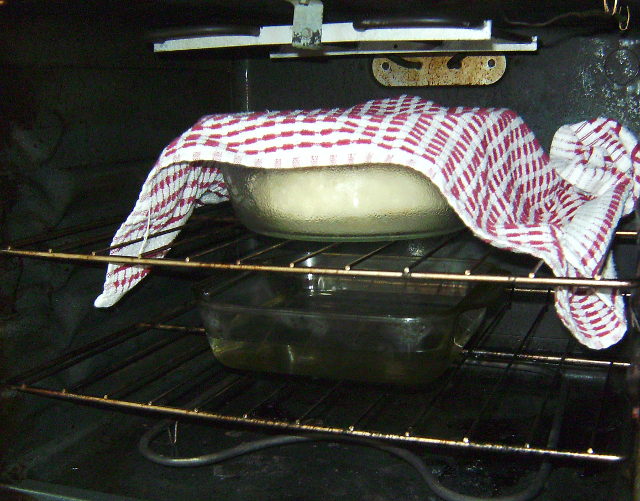 Yeast Bread Conundrums